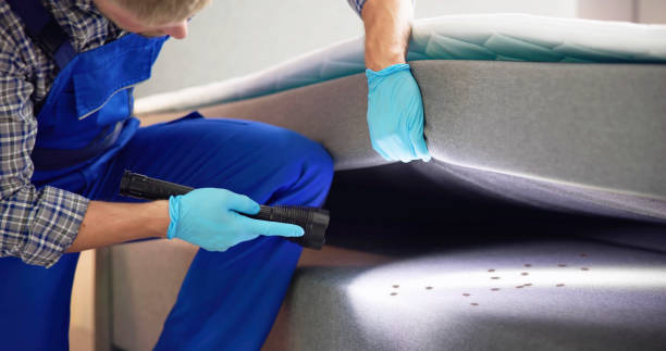 Wasp Removal Services in Spencer, TN