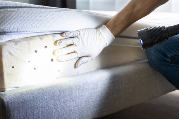 Best Pest Inspection Near Me  in Spencer, TN