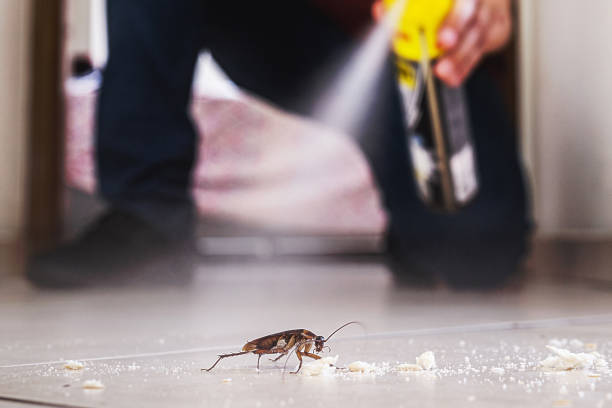 Best Wildlife Control Services  in Spencer, TN