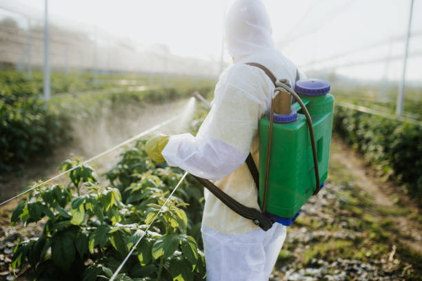 Best Mosquito Control Services  in Spencer, TN